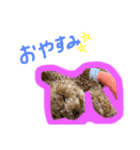 じぇしーちゃんスタンプ☆（個別スタンプ：4）