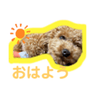 じぇしーちゃんスタンプ☆（個別スタンプ：7）