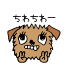 ブリュッセルグリフォンちゃん☆（個別スタンプ：2）