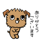 ブリュッセルグリフォンちゃん☆（個別スタンプ：5）