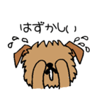 ブリュッセルグリフォンちゃん☆（個別スタンプ：10）