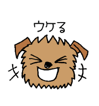ブリュッセルグリフォンちゃん☆（個別スタンプ：13）