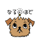 ブリュッセルグリフォンちゃん☆（個別スタンプ：15）