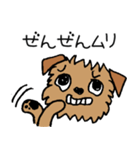 ブリュッセルグリフォンちゃん☆（個別スタンプ：19）