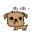 ブリュッセルグリフォンちゃん☆（個別スタンプ：20）
