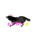 我が家の幸次郎 に贈るスタンプ（個別スタンプ：6）