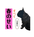フレンチブルドッグのバイエスの1年（個別スタンプ：7）