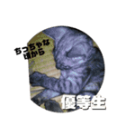 玉無トラコの憂鬱（個別スタンプ：8）