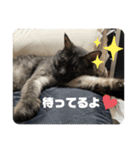 玉無トラコの憂鬱（個別スタンプ：17）