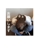 國谷のスタンプ1（個別スタンプ：7）