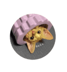 チャールズチャイ（個別スタンプ：6）