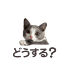 ムロとウリ③（個別スタンプ：3）