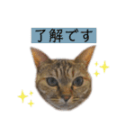 コムギ日記のフォロワー様スタンプ③（個別スタンプ：20）