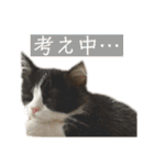 コムギ日記のフォロワー様スタンプ②（個別スタンプ：39）
