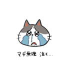 ねこ4匹衆！（個別スタンプ：3）