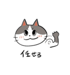 ねこ4匹衆！（個別スタンプ：11）