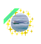 海。空撮スタンプ②（個別スタンプ：1）