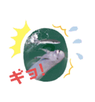 海。空撮スタンプ②（個別スタンプ：7）