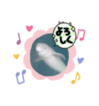 海。空撮スタンプ②（個別スタンプ：14）