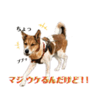 みんなみんなかわいい子たち（個別スタンプ：2）