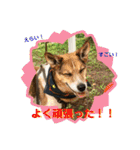 みんなみんなかわいい子たち（個別スタンプ：7）