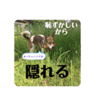 みんなみんなかわいい子たち（個別スタンプ：10）