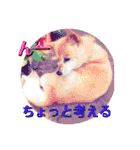みんなみんなかわいい子たち（個別スタンプ：16）