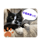 みんなみんなかわいい子たち（個別スタンプ：17）