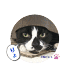 みんなみんなかわいい子たち（個別スタンプ：18）