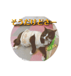 みんなみんなかわいい子たち（個別スタンプ：20）