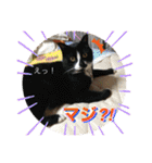みんなみんなかわいい子たち（個別スタンプ：22）