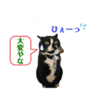 みんなみんなかわいい子たち（個別スタンプ：23）