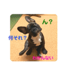 みんなみんなかわいい子たち（個別スタンプ：26）