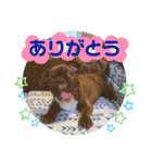 みんなみんなかわいい子たち（個別スタンプ：30）