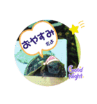 みんなみんなかわいい子たち（個別スタンプ：35）