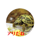 みんなみんなかわいい子たち（個別スタンプ：37）