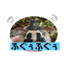 みんなみんなかわいい子たち（個別スタンプ：38）
