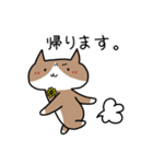 毎日使える♪ひまねこさんスタンプ（個別スタンプ：20）