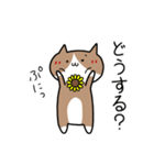 毎日使える♪ひまねこさんスタンプ（個別スタンプ：25）