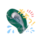 海。空撮スタンプ③（個別スタンプ：2）