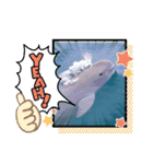 海。空撮スタンプ③（個別スタンプ：4）