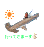 海。空撮スタンプ③（個別スタンプ：7）