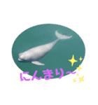 海。空撮スタンプ③（個別スタンプ：16）