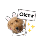 エアデールテリア 風羽ちゃん（個別スタンプ：5）
