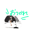 中山家の愉快な仲間（個別スタンプ：11）