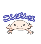 中山家の愉快な仲間（個別スタンプ：14）