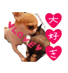NIKE❤PUMA（個別スタンプ：2）