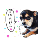 NIKE❤PUMA（個別スタンプ：11）