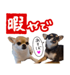 NIKE❤PUMA（個別スタンプ：13）
