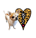 NIKE❤PUMA（個別スタンプ：20）